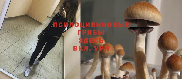 бутират Пролетарск