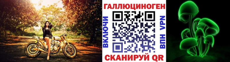 Псилоцибиновые грибы GOLDEN TEACHER  Купить закладки  Козьмодемьянск 
