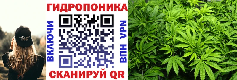 Бошки марихуана THC 21%  Купить  Козьмодемьянск 
